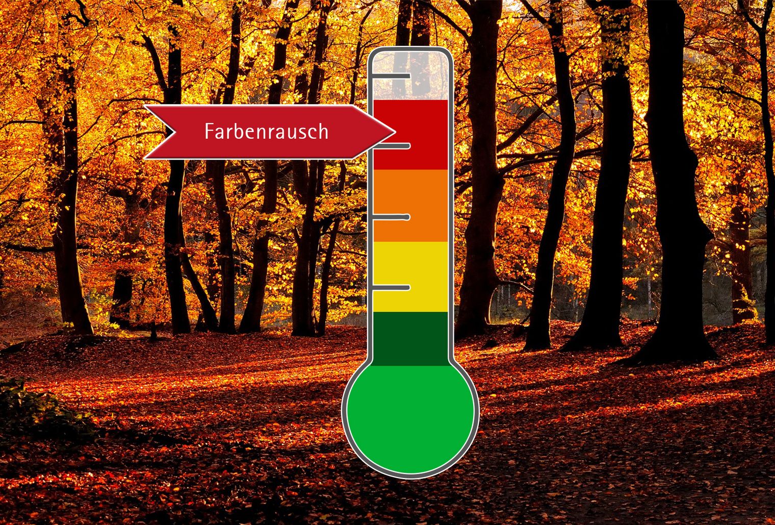 Indiansummerbarometer zeigt Farbenrausch