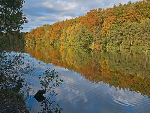 Waldufer am Schmalsee