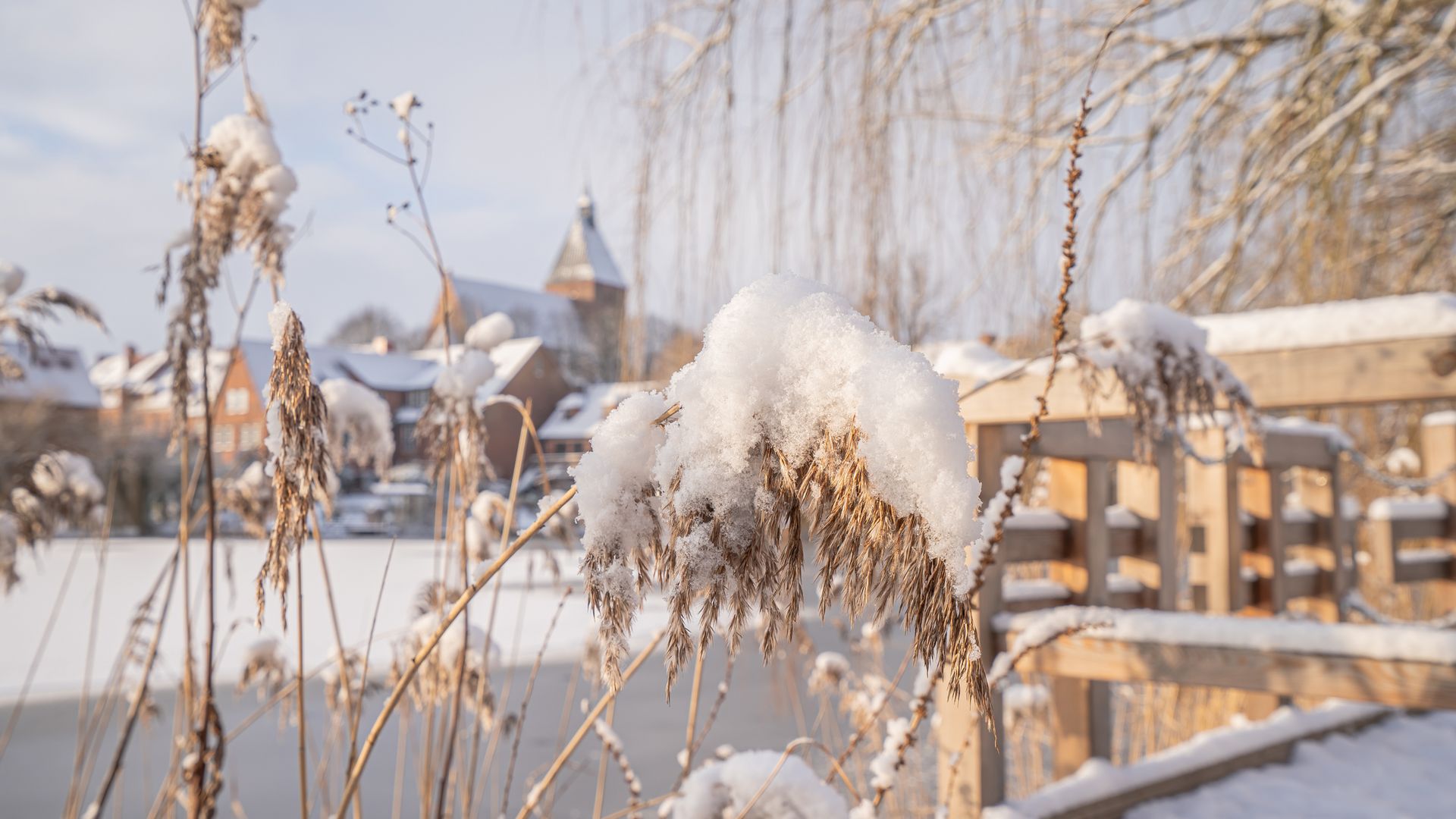 Winter am Schulsee