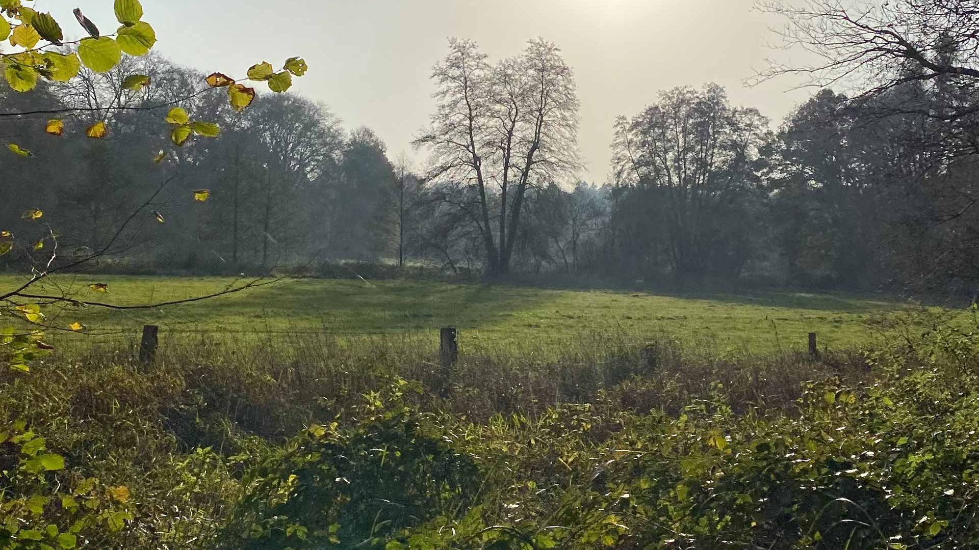 Sonniges Pirschbachtal