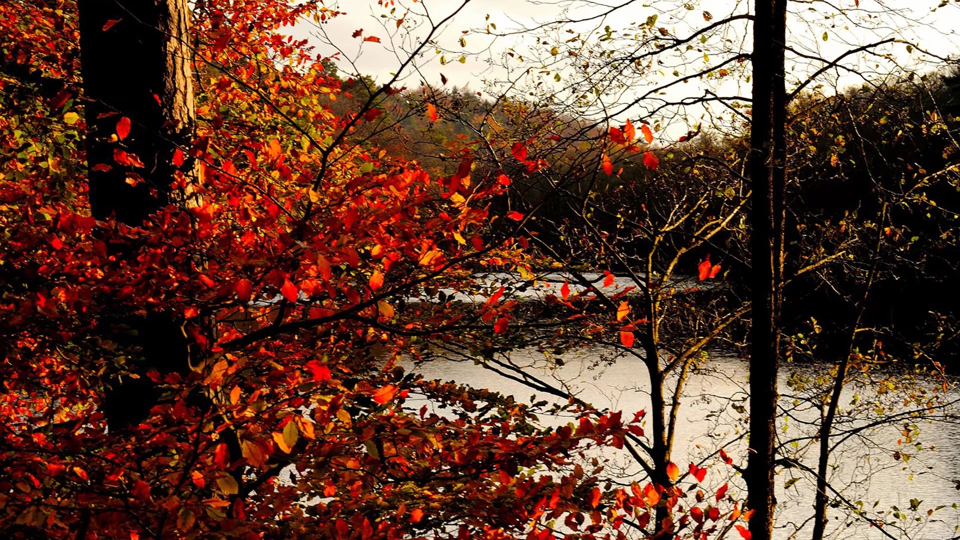 Herbststimmung am Möllner Schmalsee
