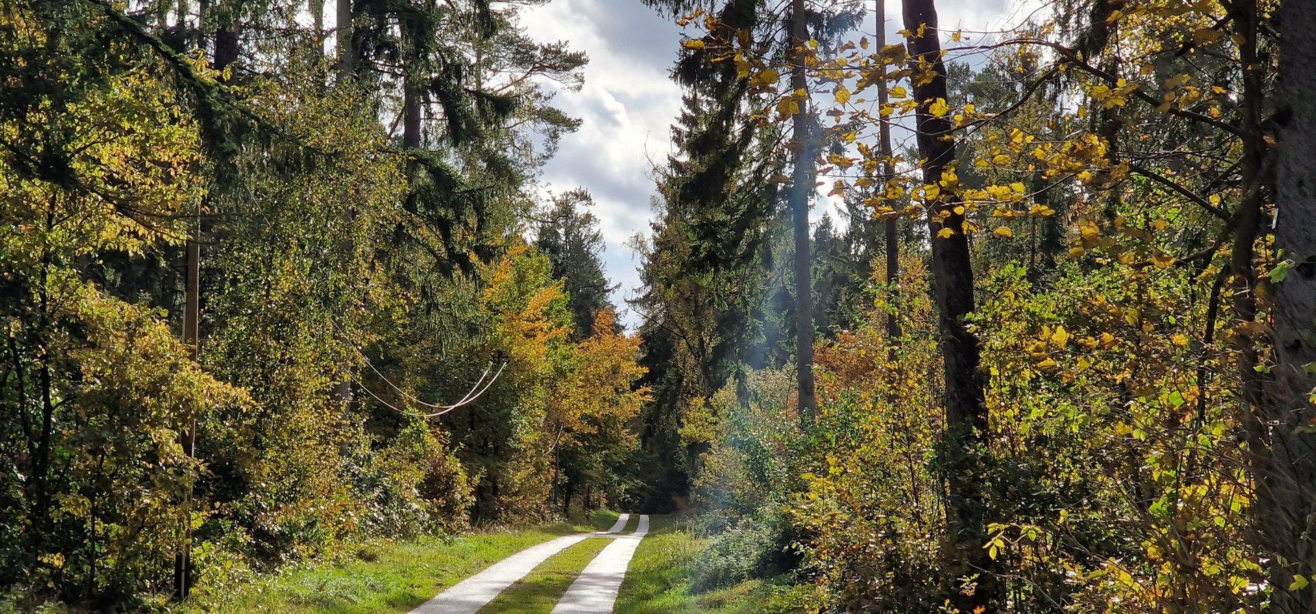 Alter Frachtweg im Herbst