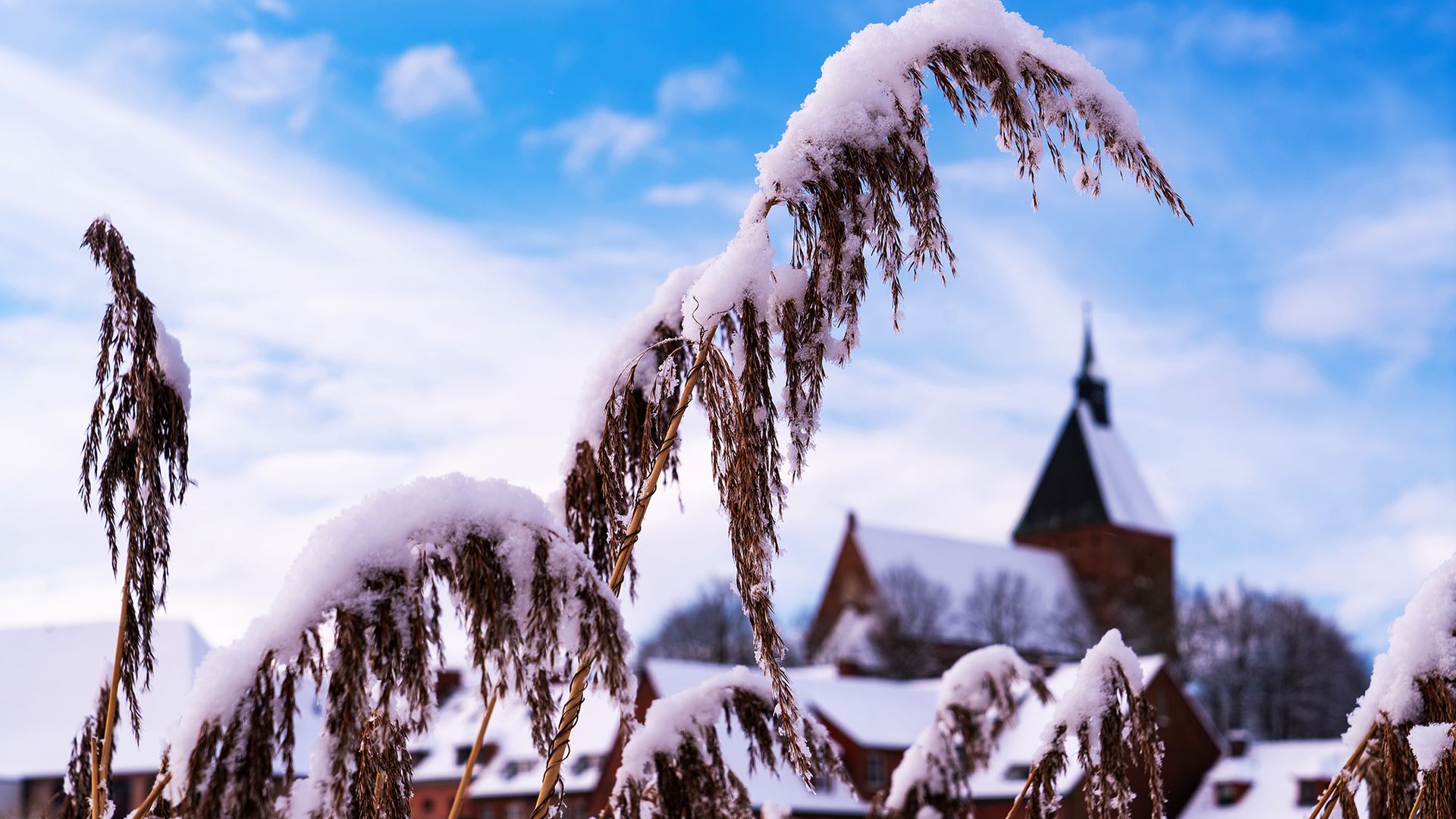 Winterimpressionen
