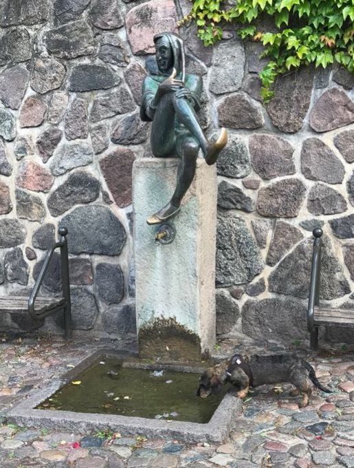 Hund trinkt am Eulenspiegelbrunnen